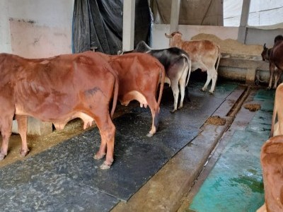 urgent help Required