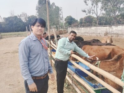 Its important to save COW today