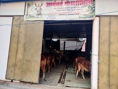 Medication and Vat support on urgent basis